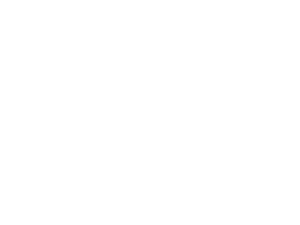 Fly Cocktailbar Logo